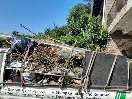 Best Office Cleanout  in Brooklyn, IA