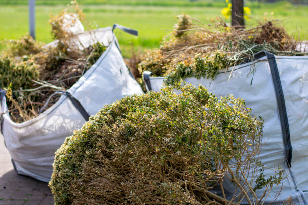 Best Commercial Junk Removal  in Brooklyn, IA
